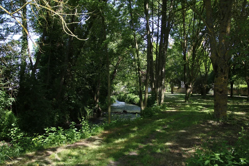 Randonnée Sentier nature du Couasnon · Beaufort-en-Anjou