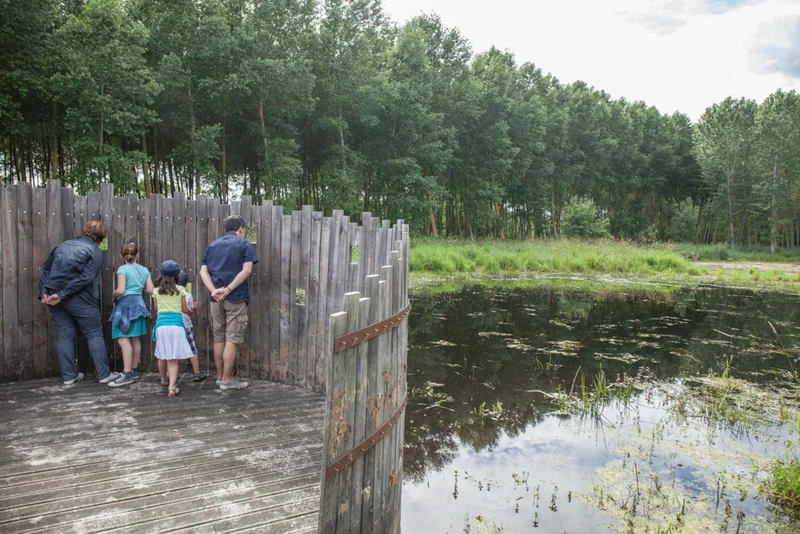 Randonnée Sentier nature du marais de Baffou (0) · Brézé
