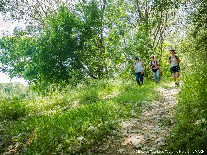 Randonnée Chemin de l'été de Saint-Martin : étape de Port Boulet à Saint Patrice · Chouzé-sur-Loire