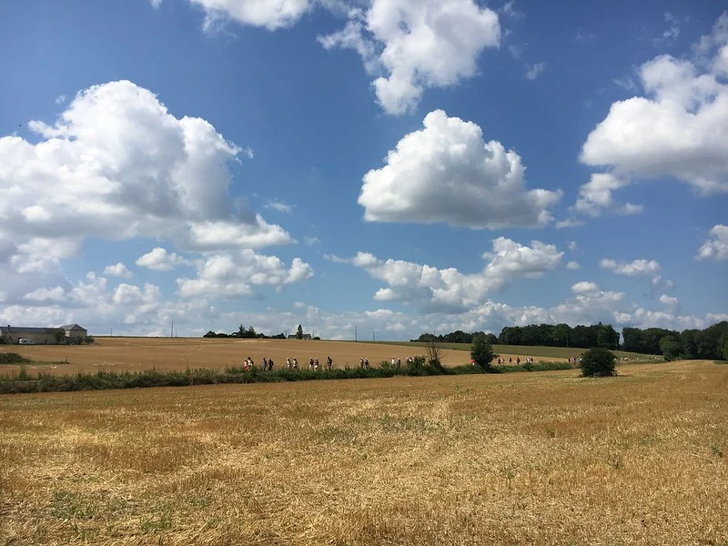 Randonnée Randonnée Faye-la-Vineuse · Faye-la-Vineuse
