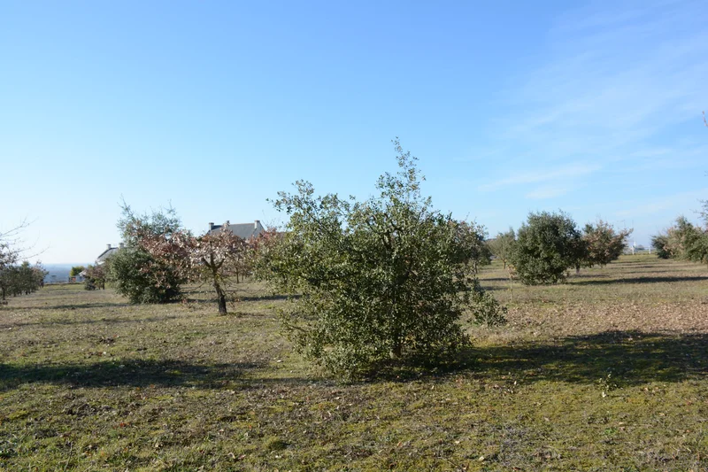 Randonnée Entre ruisseaux et truffières · Marigny-Marmande