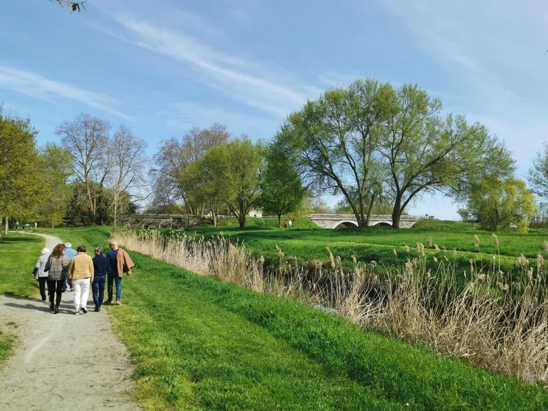 Randonnée Entre rivière et forêt - Corné · Corné