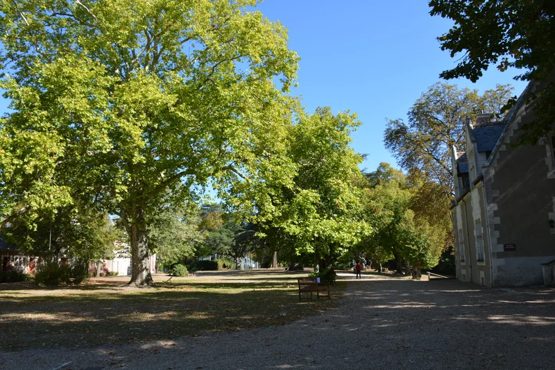 Randonnée À l'ombre des chênes centenaires · Monts