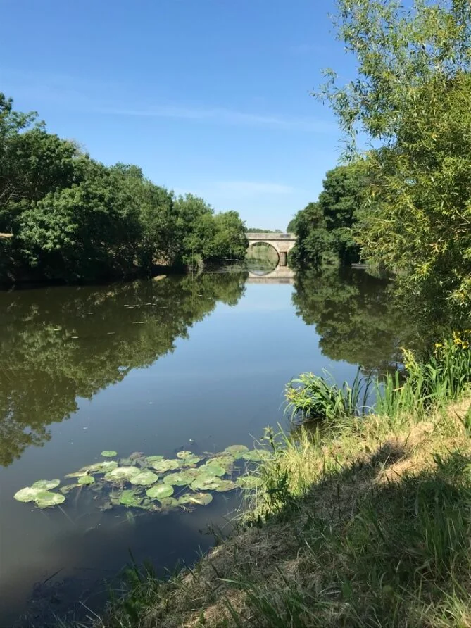 Randonnée Autour des marais et des canaux - Brain-sur-l'Authion · Loire-Authion