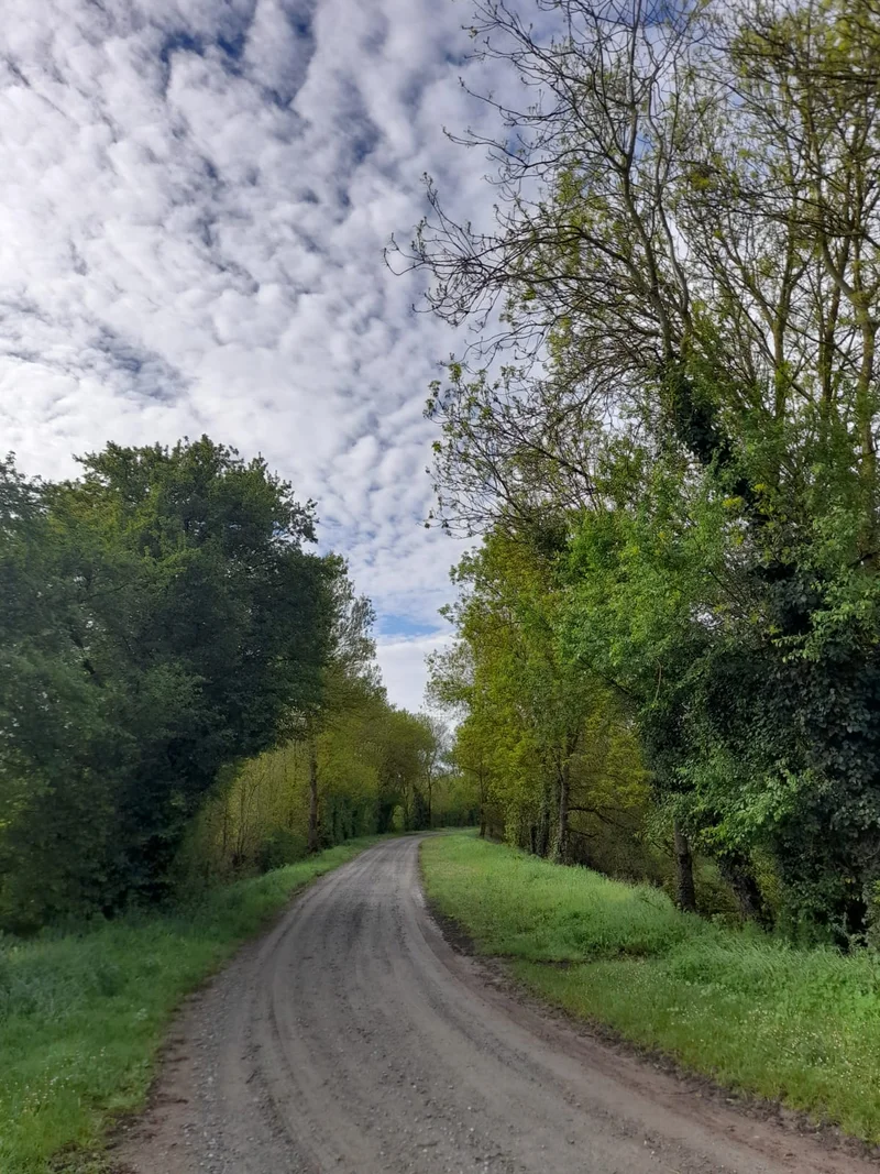 Randonnée Les près des Illons - Corné · Corné