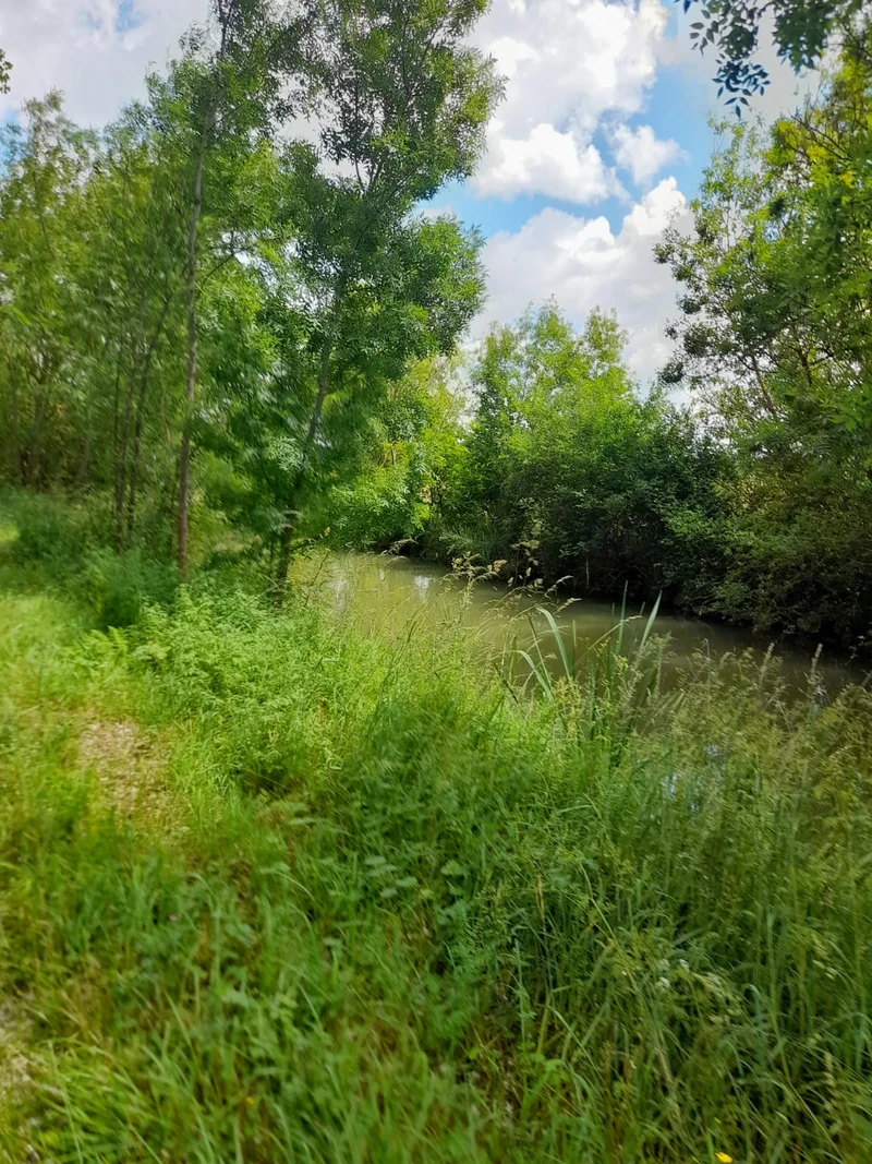 Randonnée Entre marais et ardoises - Brain-sur-l'Authion · Loire-Authion