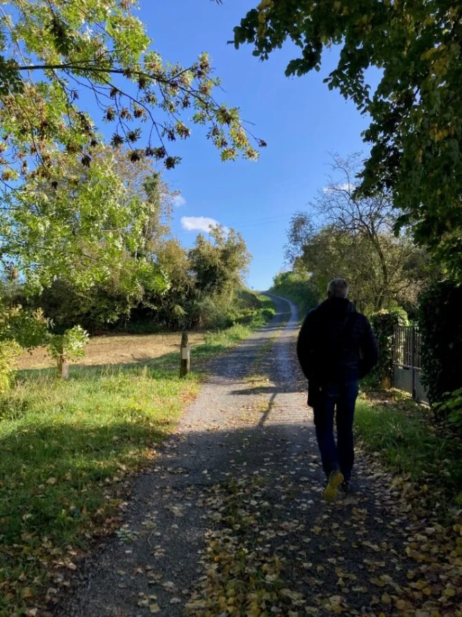 Randonnée La ronde des arbres - Bauné · Loire-Authion
