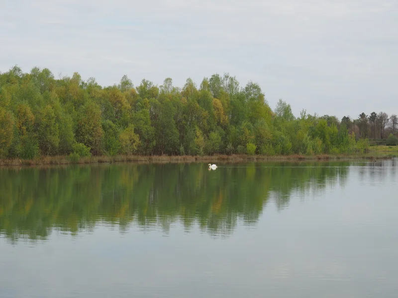 Randonnée Sentier ornithologique de l'étang des Monteaux · Vivy