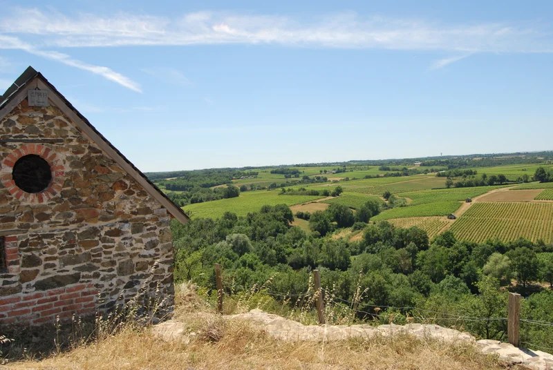 Randonnée LPO - Réserve Naturelle Régional - Beaulieu-sur-Layon · Beaulieu-sur-Layon