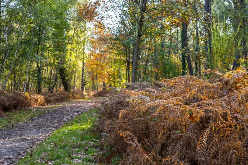 VTT Circuit VTT de Vernantes · Vernantes