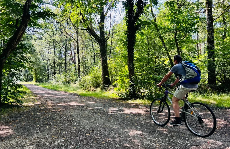 Vélo de route Boucle Vélo N°13 · Longué-Jumelles