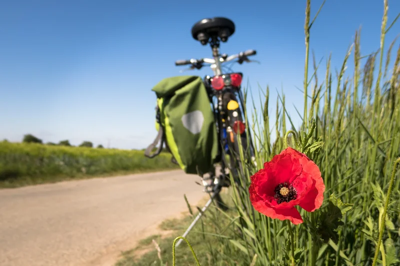 Vélo de route Entre Chinon et la vallée de la Vienne · Cravant-les-Côteaux