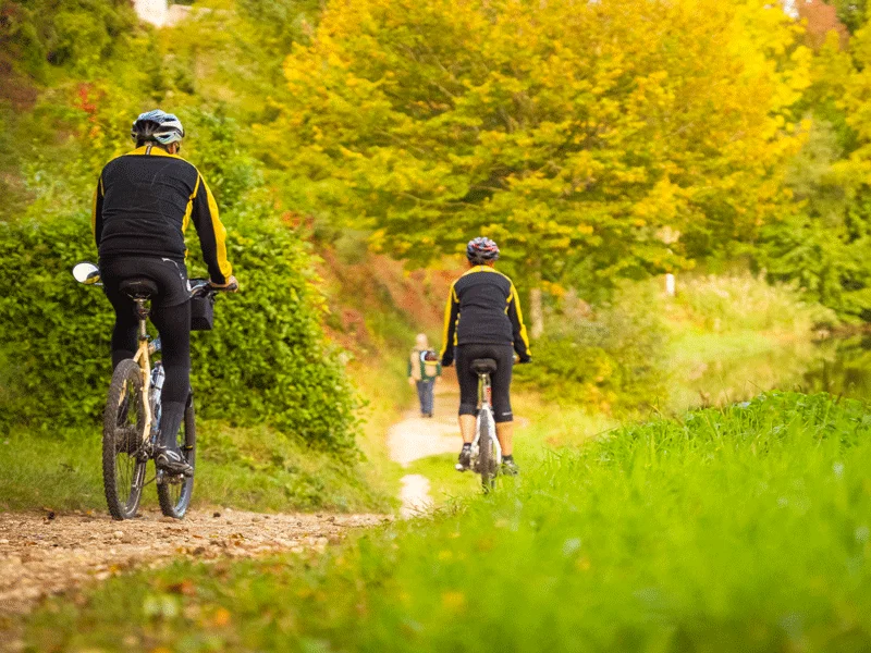 Vélo de route Entre forêt et château - Circuit vélo n°24 · Gizeux