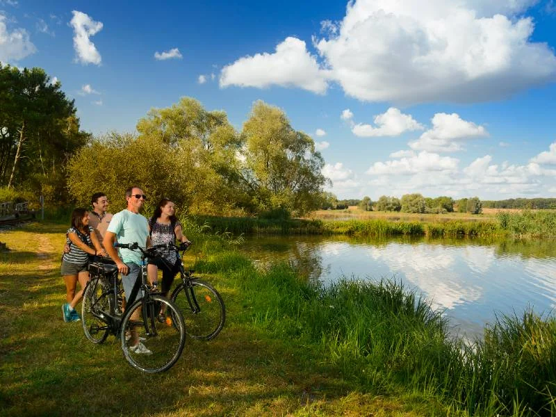 Vélo de route Nature sauvage ou maîtrisée - Circuit vélo n°26 · Rillé