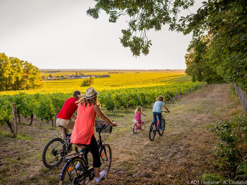 Vélo de route Grands crus et belles demeures - Circuit vélo n°23 | variante courte · Bourgueil