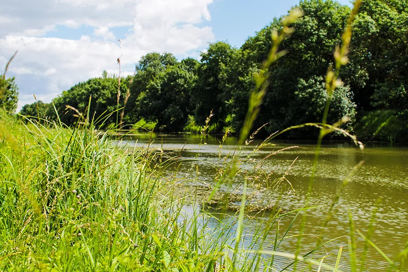 Vélo de route l'Authion à vélo · Saint-Mathurin-sur-Loire