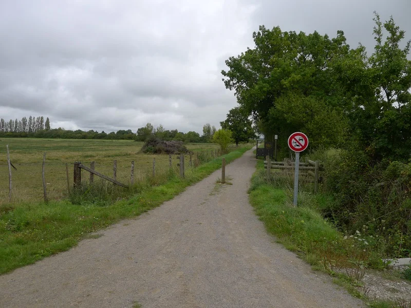 Vélo de route Les Marais de Maca · Donges