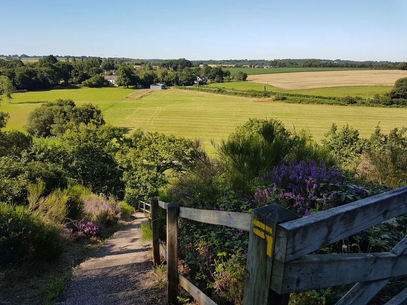 Vélo de route Circuit de la Vallée du Don · Guémené-Penfao
