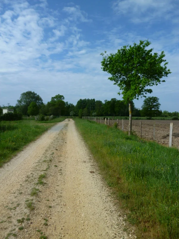 Vélo de route Circuit des Garennes · Guenrouet