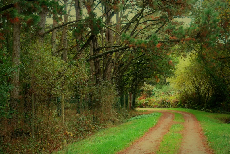 Vélo de route GR® 39 - De la Vilaine à la Brière · Herbignac