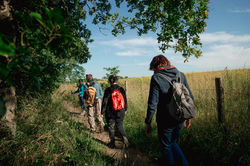 Vélo de route Sentier de la Vallée Mismy · La Chapelle-Launay