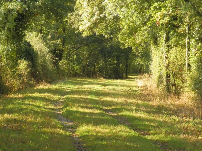 Vélo de route La Chauminette · Les Touches