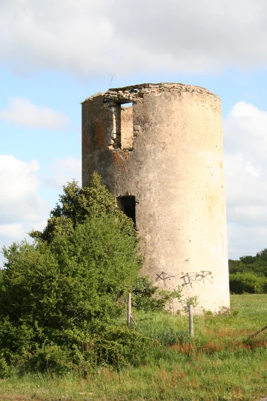 Vélo de route Circuit Brière et Moulins · Missillac