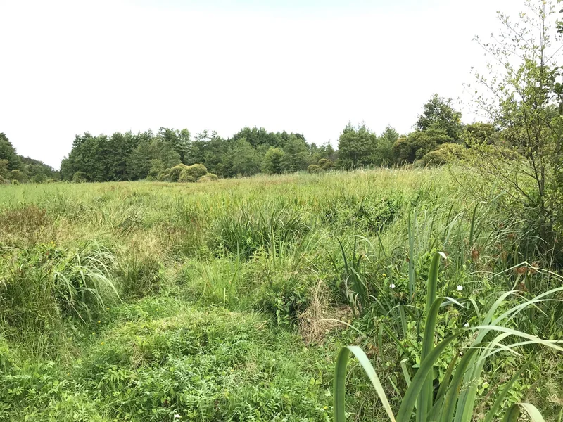 Vélo de route Les Marais de Blanche Noë · Nort-sur-Erdre