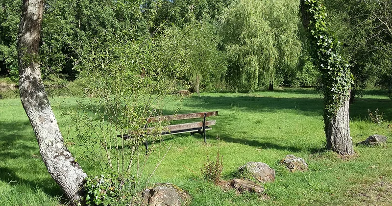 Vélo de route Sentier Étangs et Calvaires · La Chapelle
