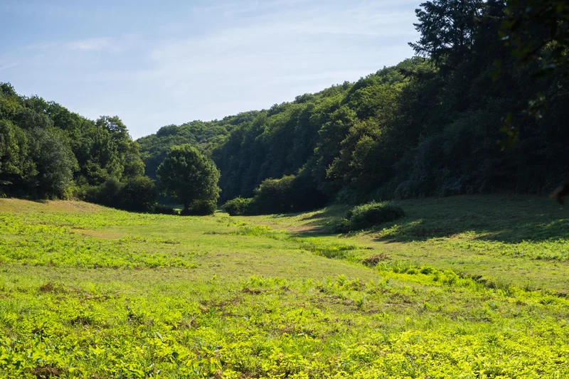 Vélo de route Sentier du Berliquet · Saint-Étienne-de-Montluc