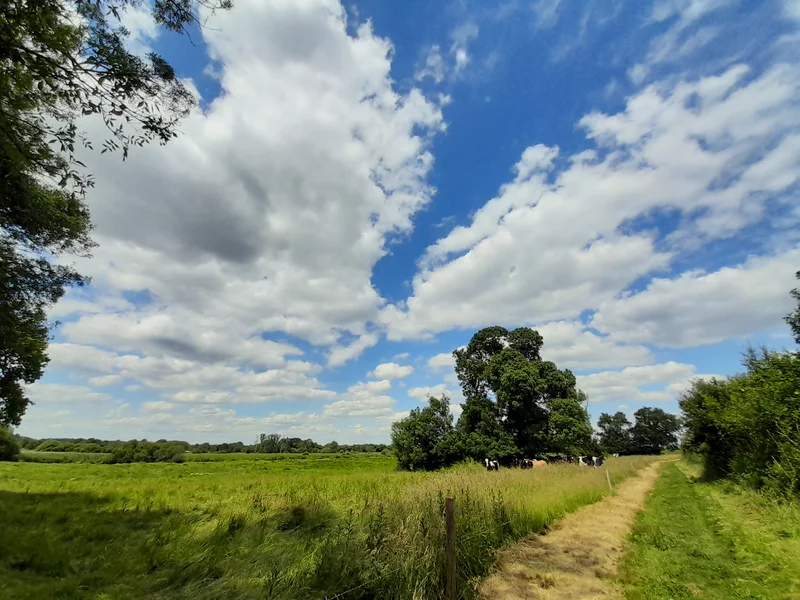 Vélo de route Le Tenu · Saint-Mars-de-Coutais