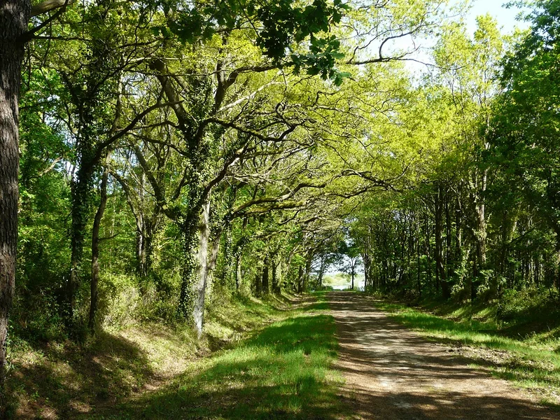 Vélo de route Le Bois Charette · Saint-Mars-de-Coutais