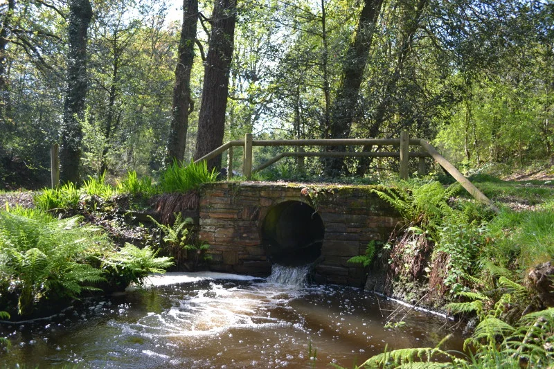 Vélo de route Circuit Marais et Châteaux · Sévérac