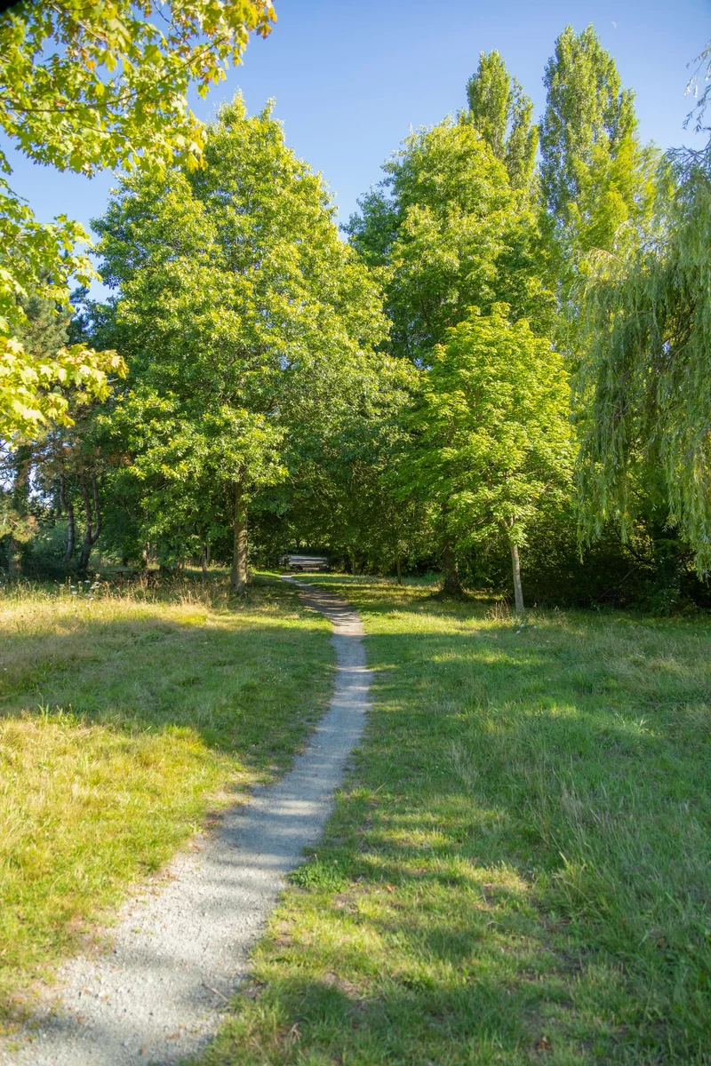 Vélo de route La Baraudière · Sucé-sur-Erdre