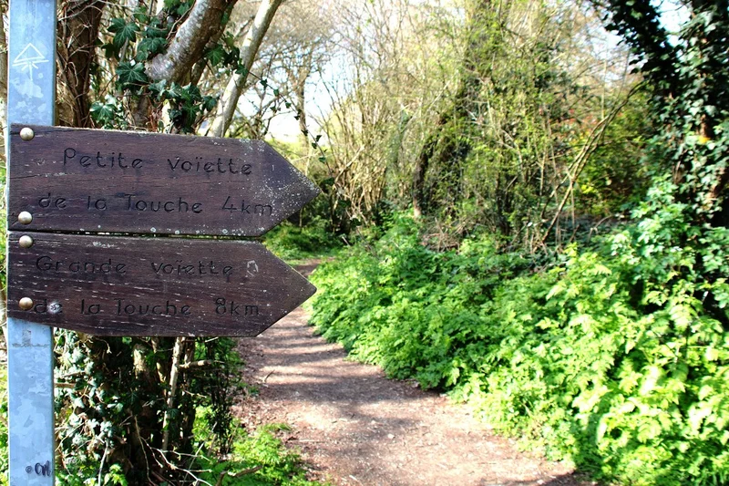 Vélo de route Les Voïettes · Sucé-sur-Erdre