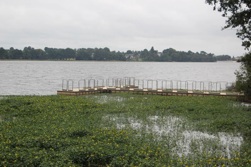 Vélo de route Lac de Vioreau · Joué-sur-Erdre