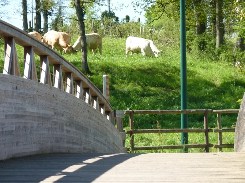 Vélo de route Circuit Passerelle · Saint-Colomban
