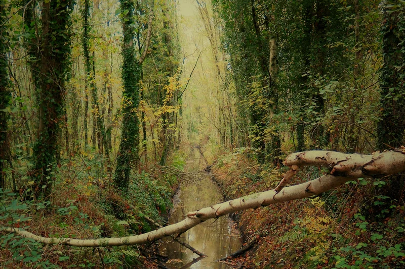 Vélo de route La Cour aux Loups · Pompas