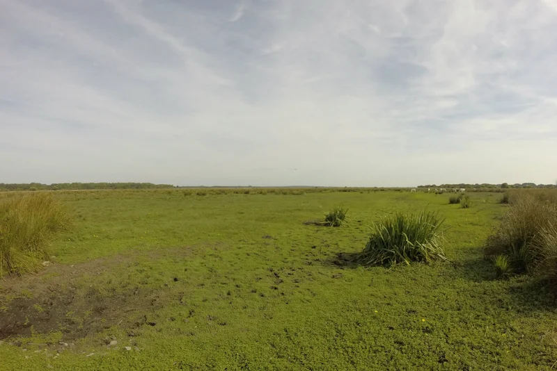 Vélo de route Les Bords de Brière · Herbignac