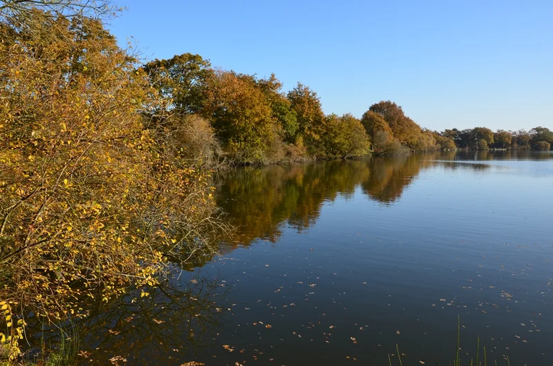 Vélo de route Les Étangs du Bois Joalland et de Guindreff · Saint-Nazaire