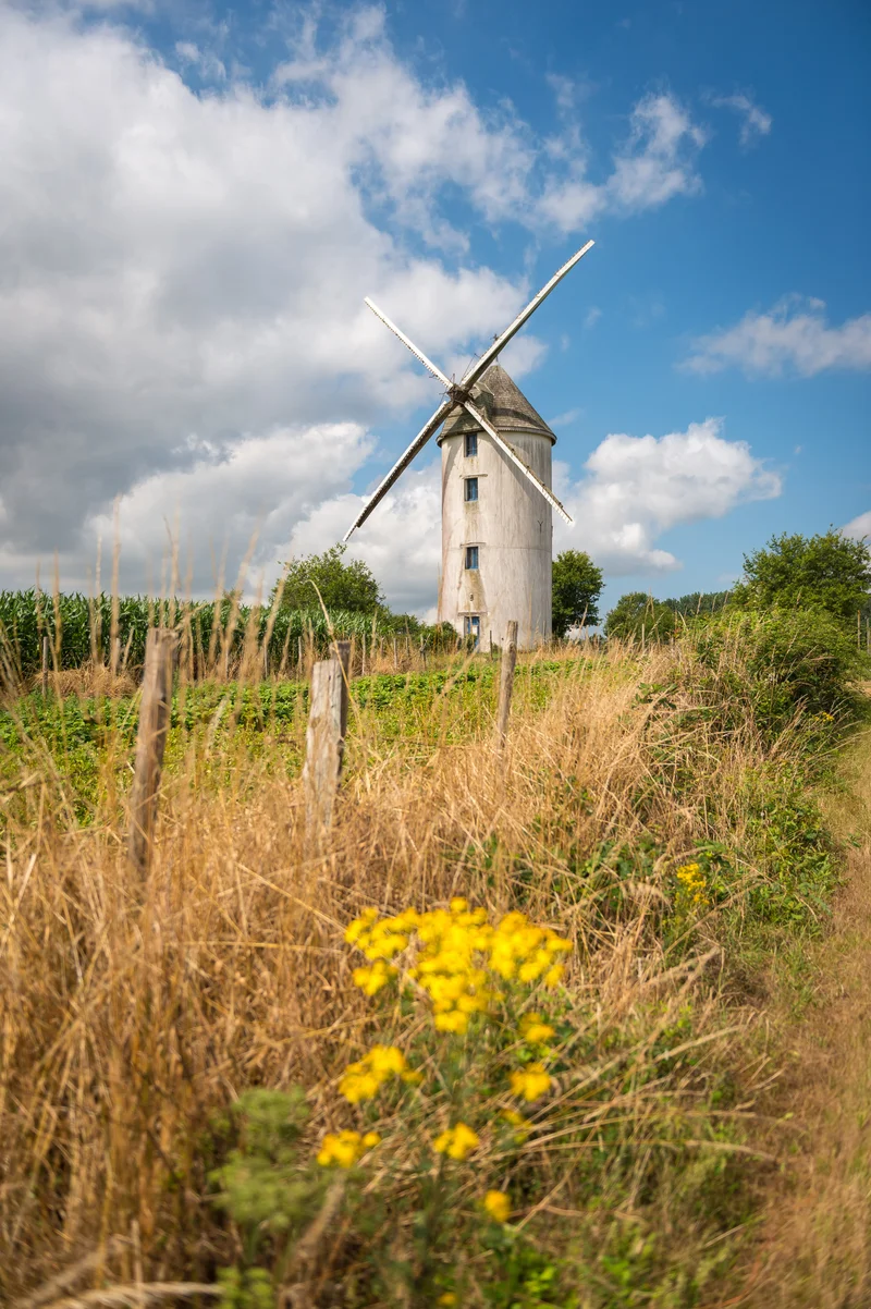 Vélo de route Sentier du Moulin · Campbon
