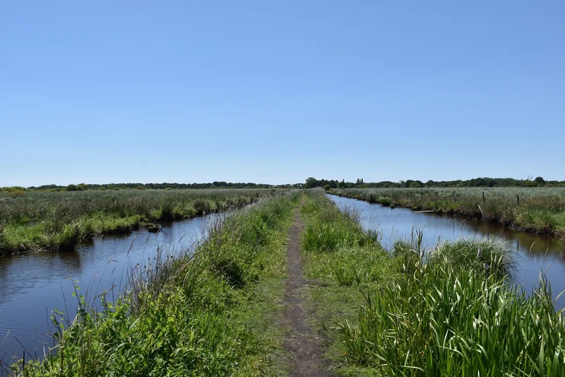 Vélo de route Le Héron · La Chapelle-des-Marais