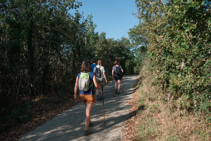 Vélo de route Sentier du Tertre · Malville