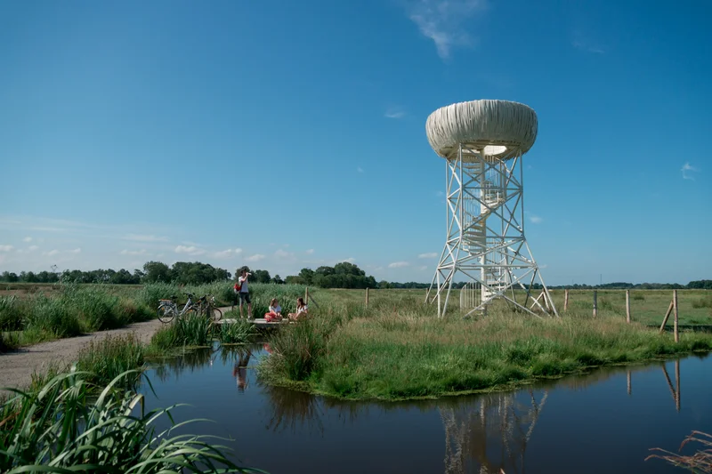 Vélo de route Sentier du Marais du Fresnier · Savenay