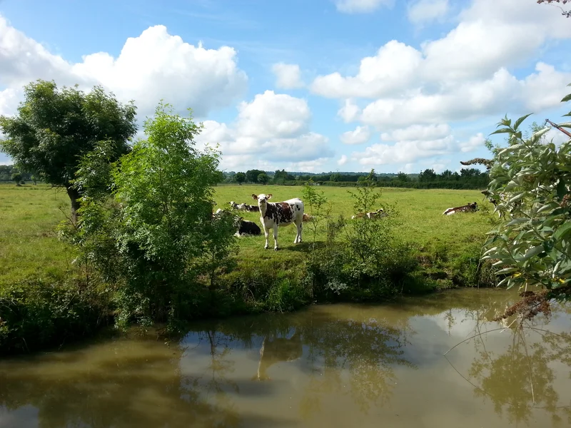 Vélo de route Circuit du Canal à l'Île Adet · Frossay