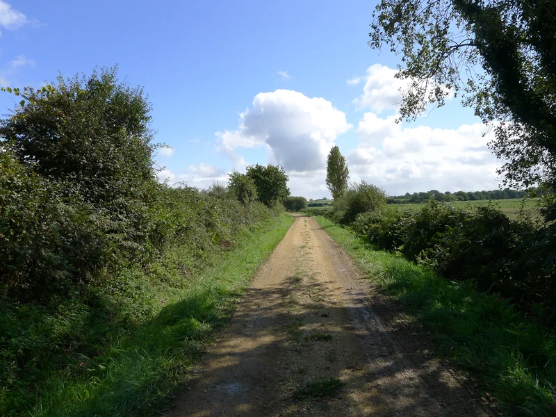 Vélo de route Autour de l'Ardivais · Besné