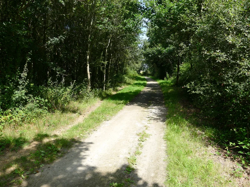 Vélo de route Le Coq Fleuri · Saint-Joachim
