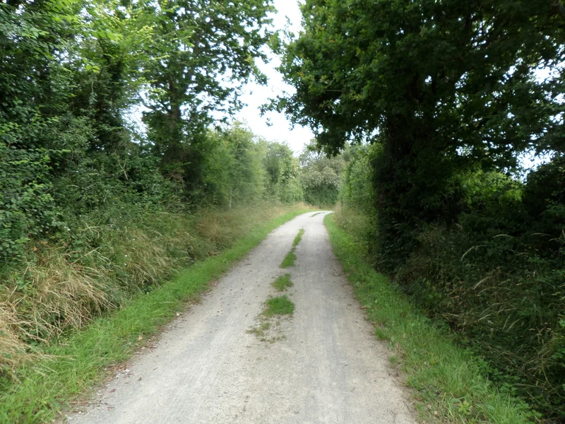 Vélo de route Les Coteaux Maritimes · Saint-Nazaire