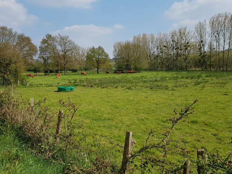 Vélo de route Circuit du Bellion : Marais de Fégréac · Fégréac