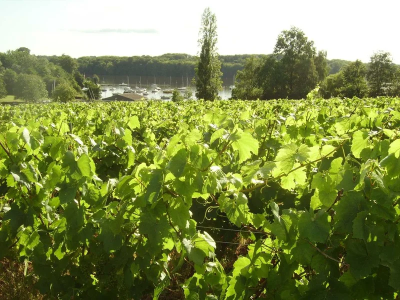 Randonnée Les Bords de l'Erdre · Carquefou